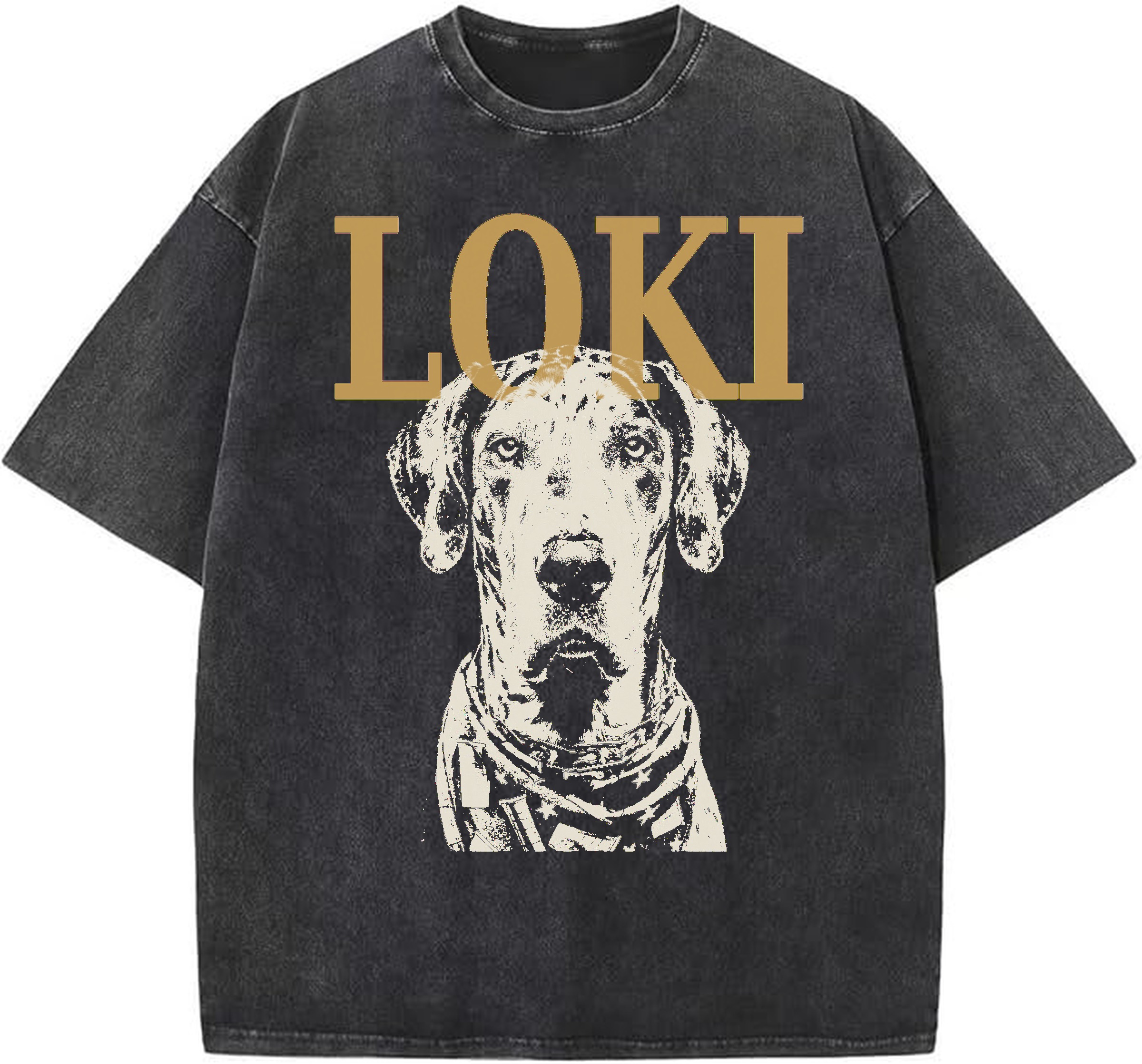 Pet tribute tee example — custom Loki memorial design